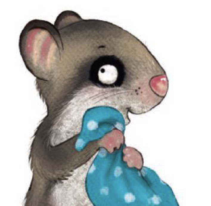 The Little Dormouse – Picture Book Bestseller!